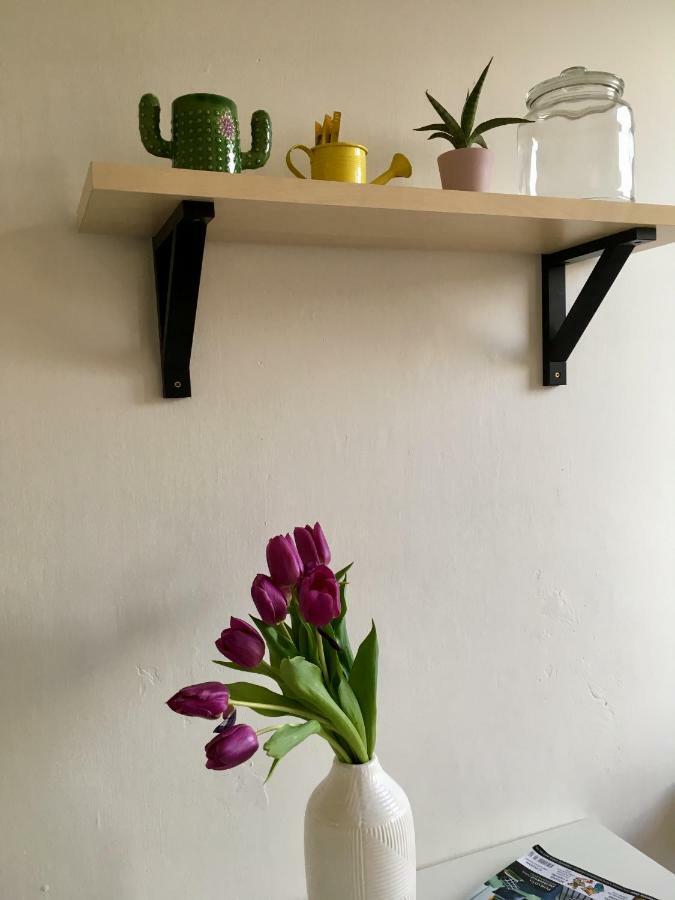 Blu Apartment In Old Town Bratislava Luaran gambar